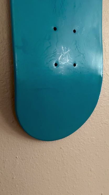 SWIMMING IN CIRCLES SKATE DECK WALL ART